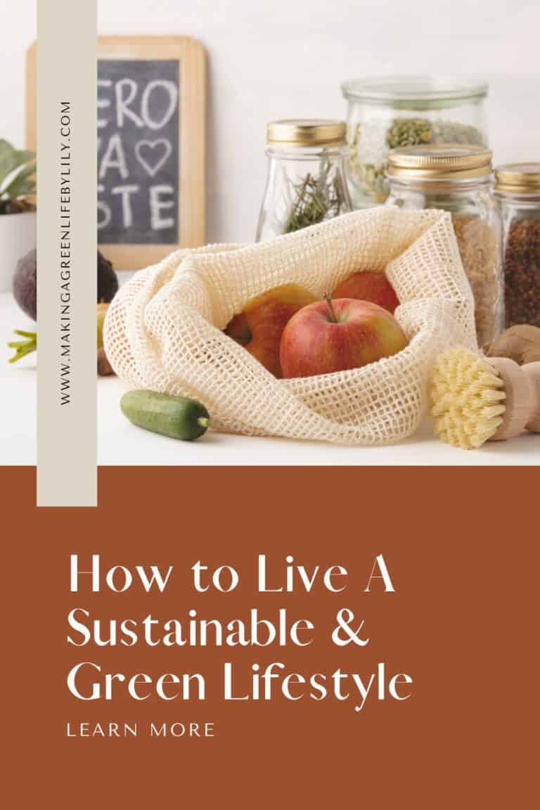 How To Live A Sustainable & Green Lifestyle