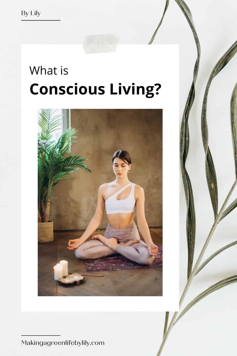 What is conscious living pin