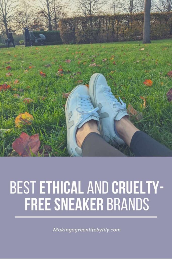 best ethical & cruelty free sneakers pin