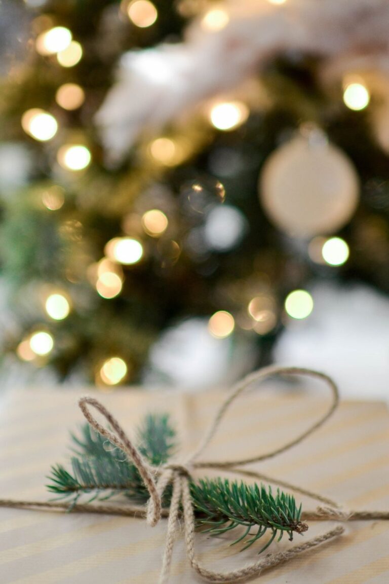 11 Best Ways to Have a Sustainable Christmas