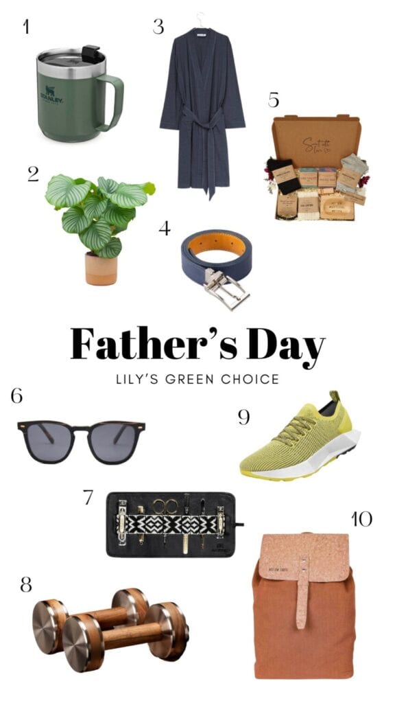 Eco-friendly Father's day gifts