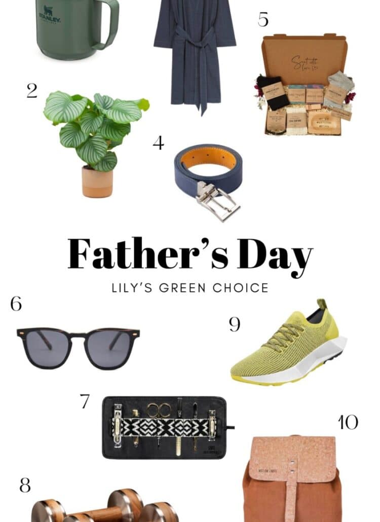 Eco-friendly Father's day gifts
