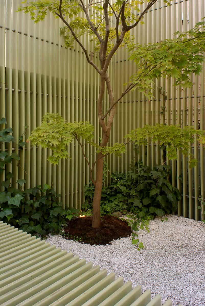 Plants Japandi Interior for Garden