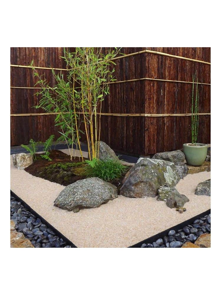 Plants Japandi Interior for Garden