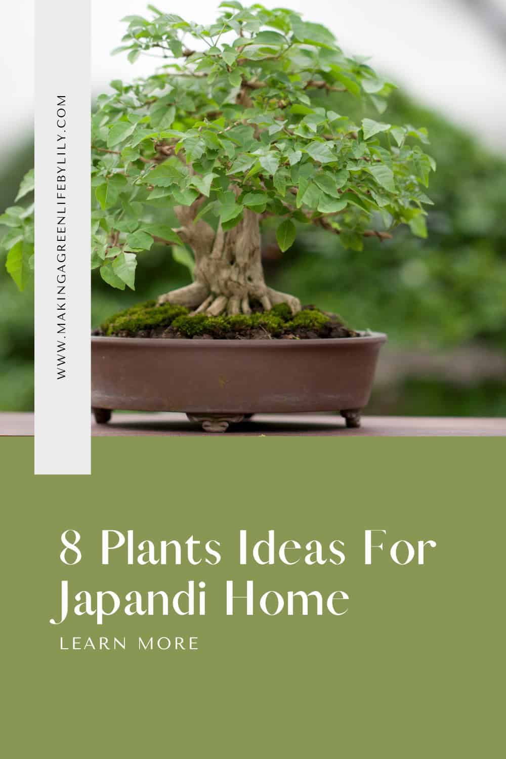 8 Plants idea for Japandi Home