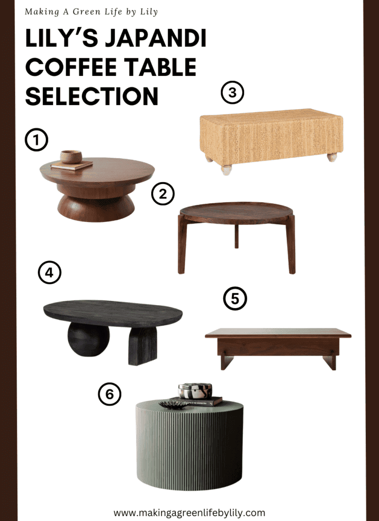 Lily's Japandi coffee table selection