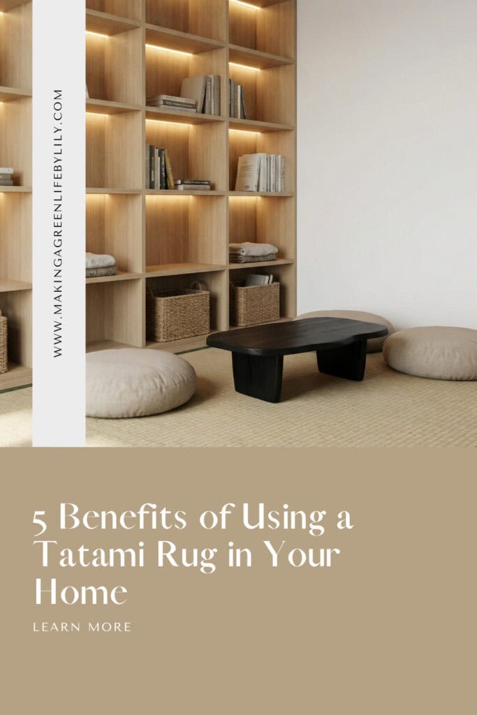 5 Benefits of Using a Tatami Rug in Your Home pin
